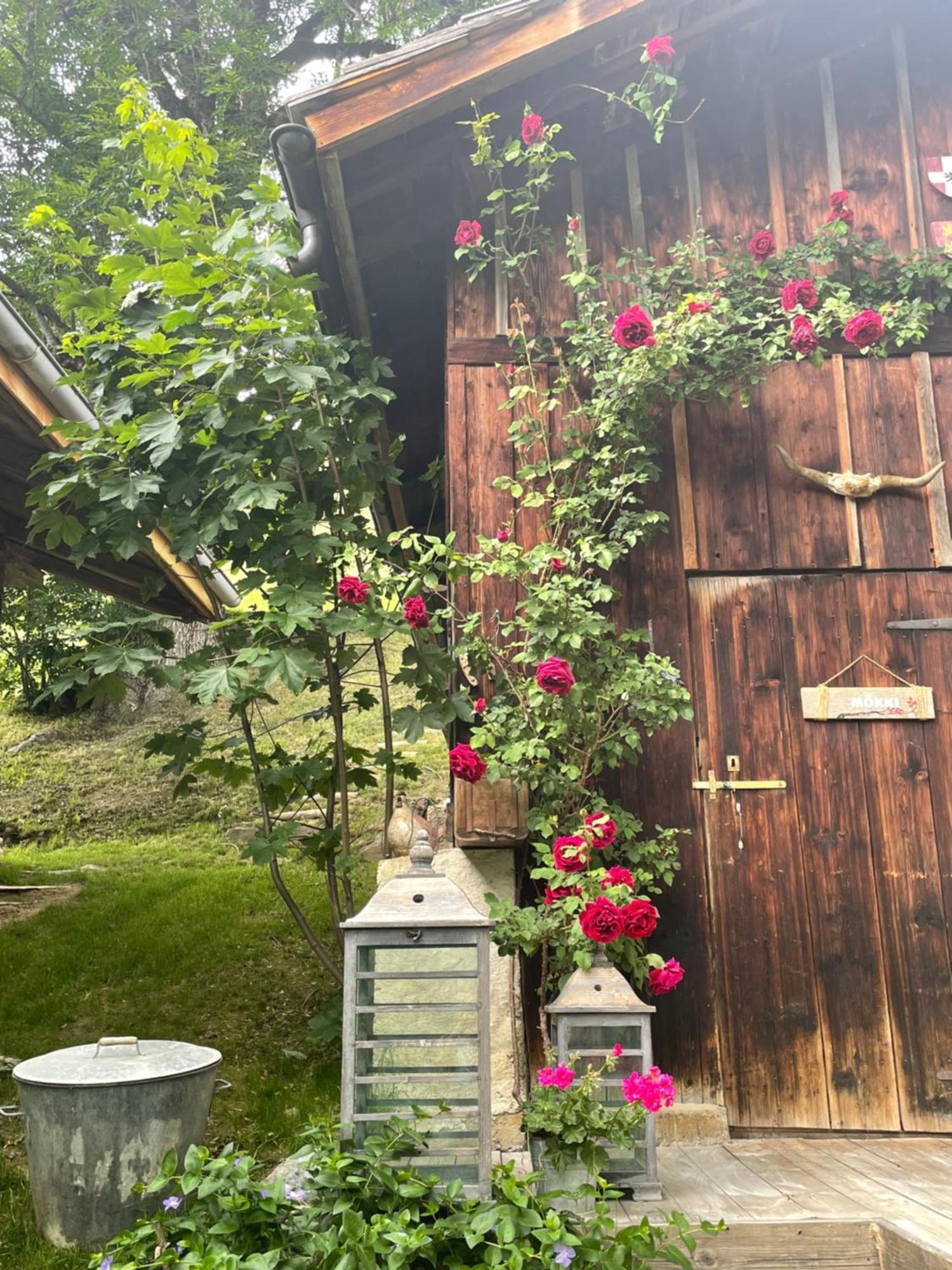 Le Pika Bed & Breakfast Hauteluce Luaran gambar